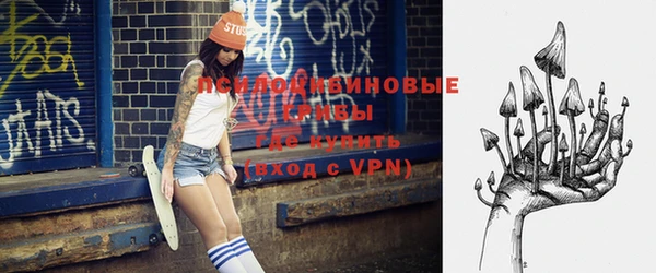 твердый Нязепетровск